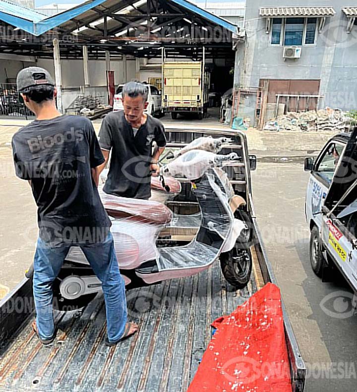 sona-tng-molis dmi 1